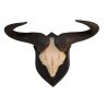 Trofeo di Blue Wildebeest Gnu