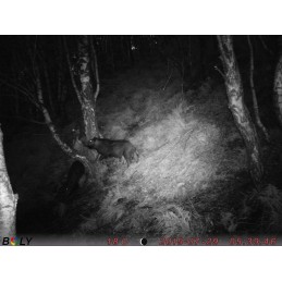 Trophy Blocco 25 kg Trophy Blocco 25 kg