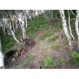 Trophy Blocco 25 kg Trophy Blocco 25 kg