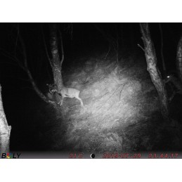 Trophy Blocco 25 kg Trophy Blocco 25 kg