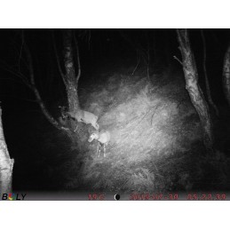 Trophy Blocco 25 kg Trophy Blocco 25 kg