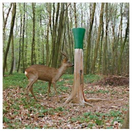 PORTA SALE in PLASTICA per SALINE