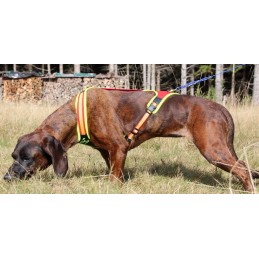 Pettorina Niggeloh Follow Trail Pettorina Niggeloh Follow Trail