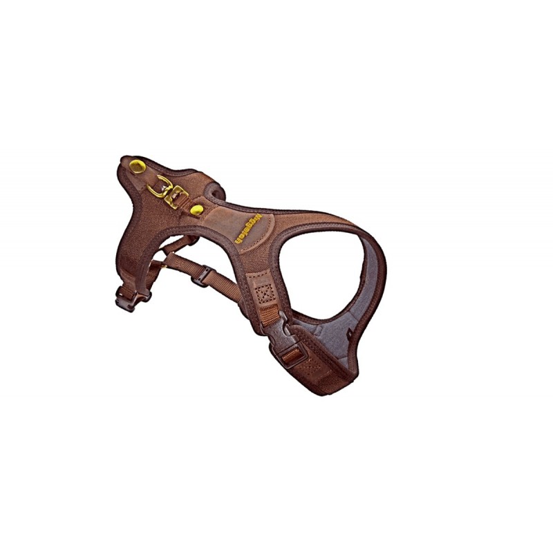 Pettorina Niggeloh Follow light