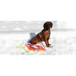 Lunga Niggeloh in Biothane Track