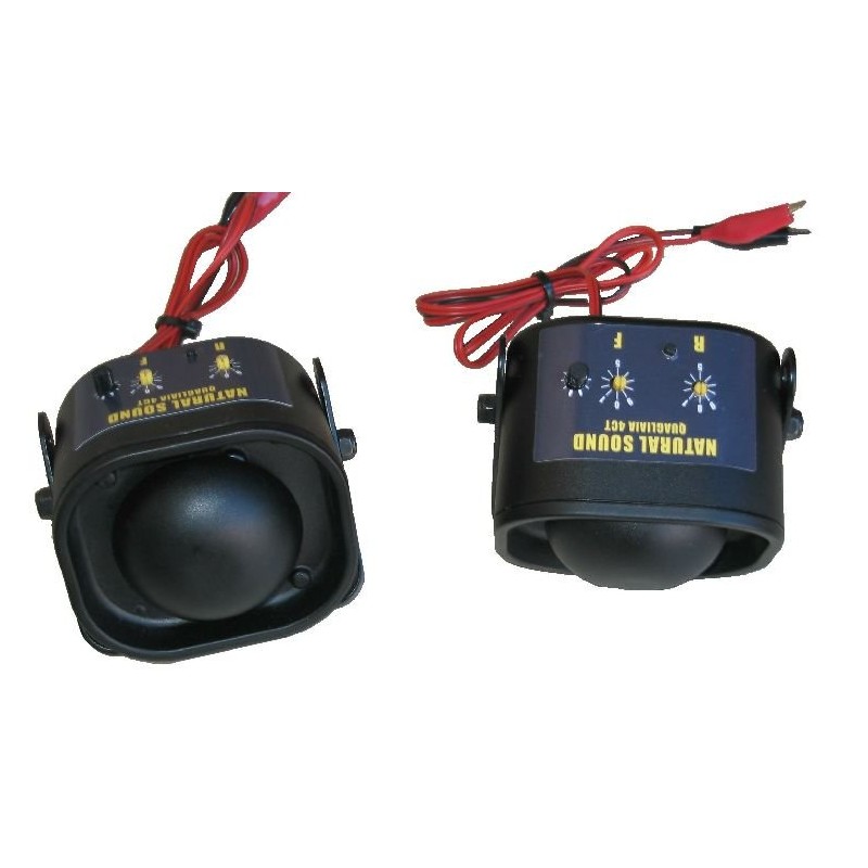 Quagliaia a quattro canti