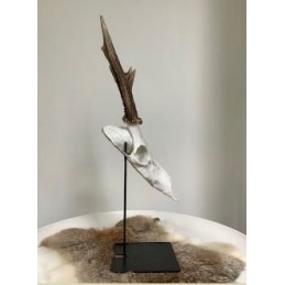 Supporto per trofeo di capriolo o camoscio