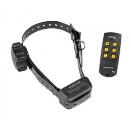 Collare educativo Canicom Canicom Voice