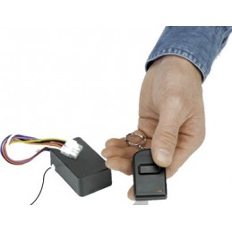 Telecomando a distanza per anatra