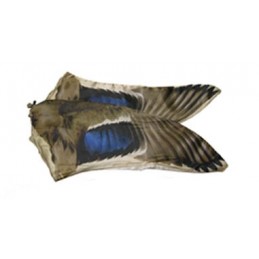 Ali di ricambio per Rapid Flyer