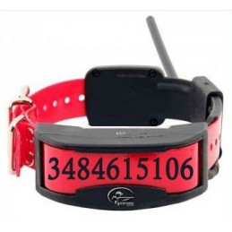 Collare personalizzato Incisoria Panno - per Tek 1.5 – 2.0