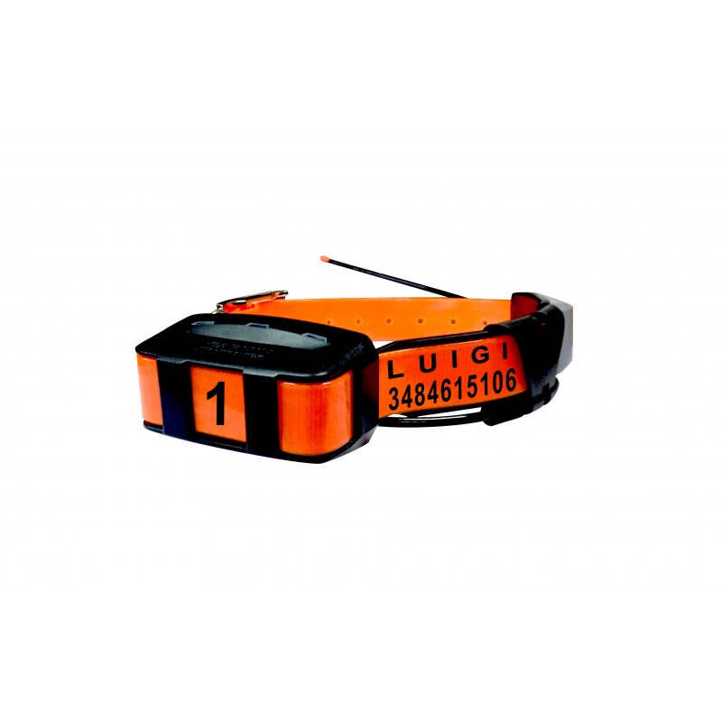 Collare personalizzato Incisoria Panno - per Garmin