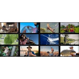 Abbonamento annuale Caccia - Digitale