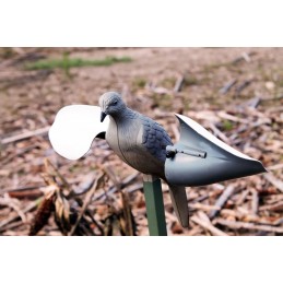 Mojo Wind Dove tortora a vento