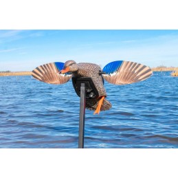 MOJO® Elite Series™ Mini Mallard Hen - mini germano femmina