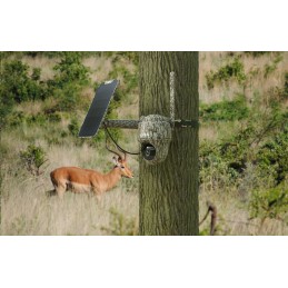 Videocamera ruotabile mimetica Reolink Keen Ranger PT completa