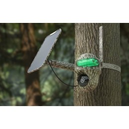 Videocamera ruotabile mimetica Reolink Keen Ranger PT completa