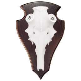 Teschio artificiale daino