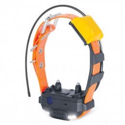 Collare GPS Pathfinder 2 MINI satellitare