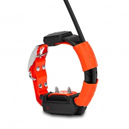 Collare aggiuntivo Dogtrace DOG GPS X25T
