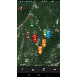 Palmare Dogtrace DOG GPS X30/X30B