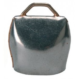 Campanaccio Chamonix 2