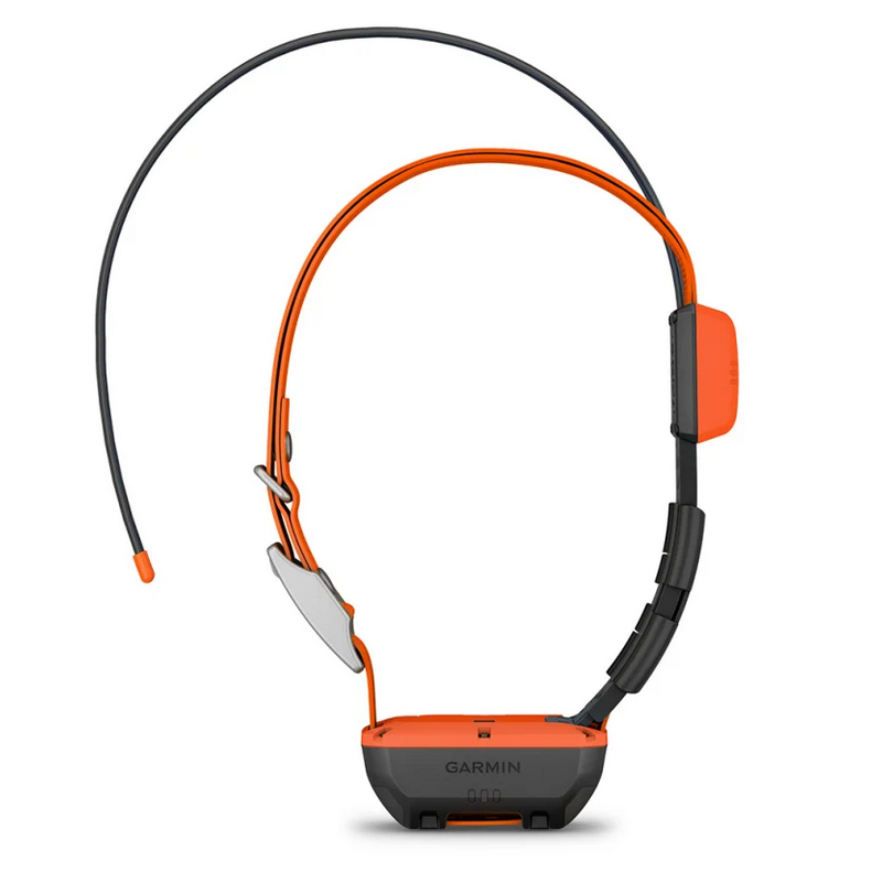 Collare aggiuntivo GPS Garmin Alpha® T 20 K