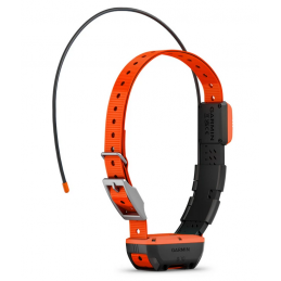 Collare aggiuntivo GPS Garmin Alpha® T 20 K