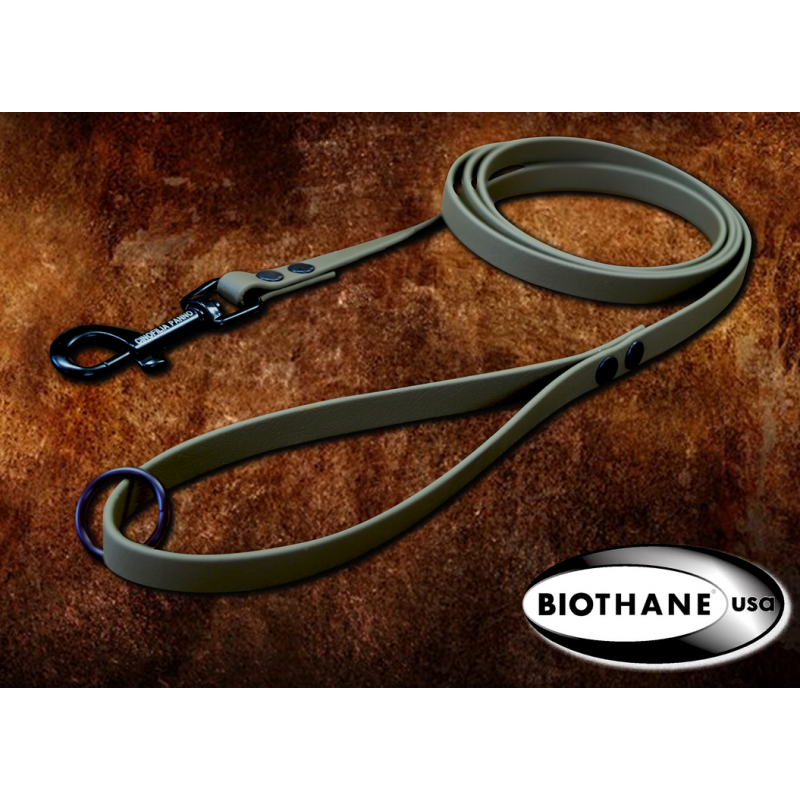 Guinzaglio classico in BIOTHANE piatto