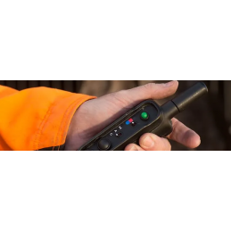 Collare addestramento Garmin PRO 550