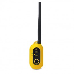 Connettore Bluetooth Pathfinder2