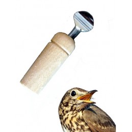 Richiamo per tordo a vite