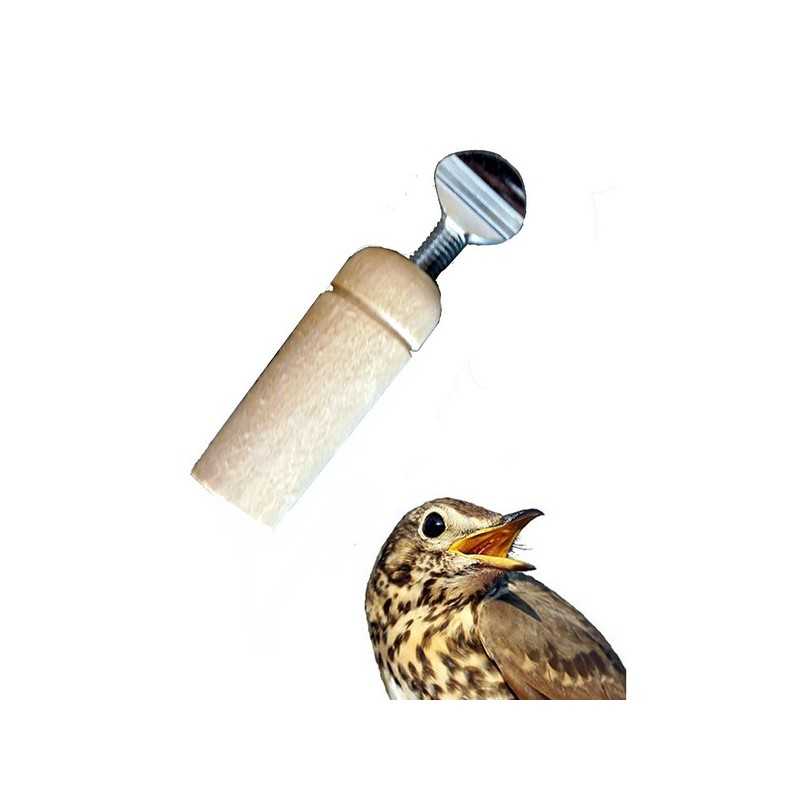 Richiamo per tordo a vite