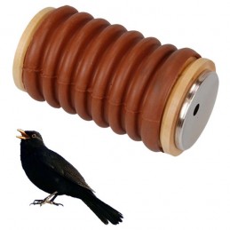 Richiamo per merlo a mantice