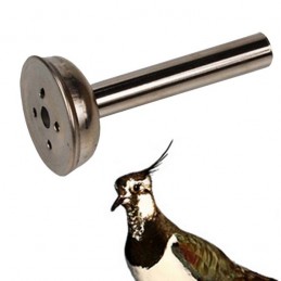 Richiamo per pavoncella