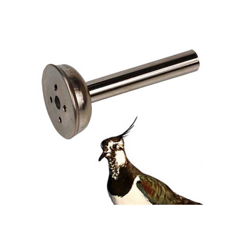 Richiamo per pavoncella