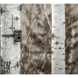 Kit Fototrappola Spypoint Flex Plus Kit Fototrappola Spypoint Flex Plus