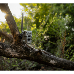 Kit Fototrappola Spypoint Flex Plus Kit Fototrappola Spypoint Flex Plus