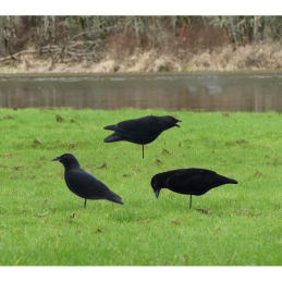 KIT 3PZ STAMPI FINAL APPROACH STAMPI CORVO FLOCKED KIT 3PZ STAMPI FINAL APPROACH STAMPI CORVO FLOCKED