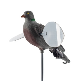 Colombaccio ali giregoli Lucky Duck - LUCKY PIGEON HD