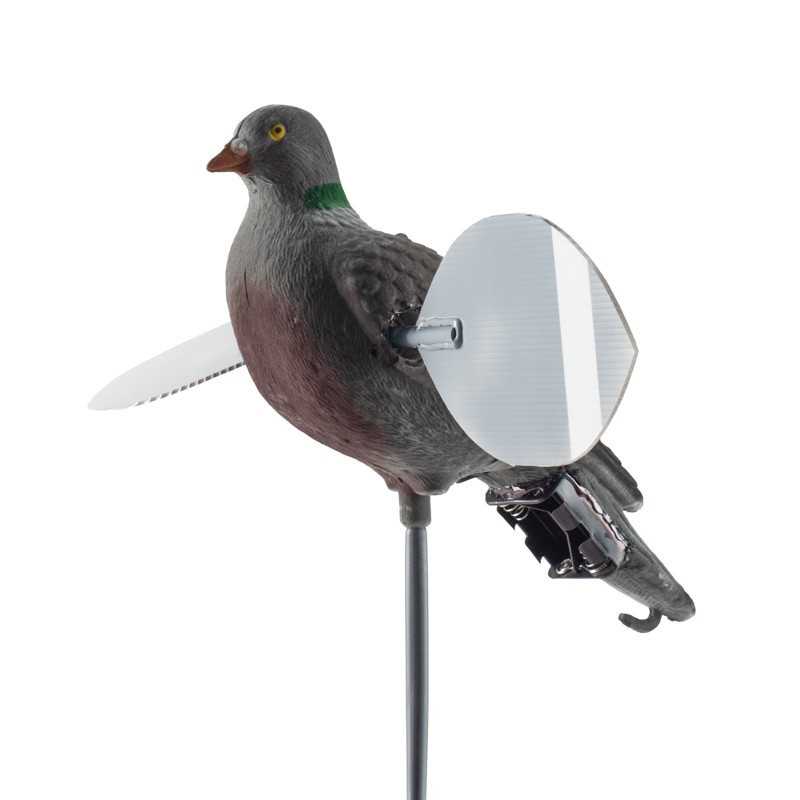 Colombaccio ali giregoli Lucky Duck - LUCKY PIGEON HD