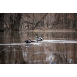 Germano ad ali rotanti galleggiante Lucky Duck Lucky Splasher