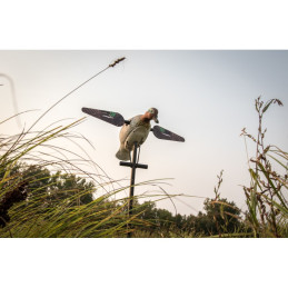 Alzavola ad ali rotanti Lucky Duck Teal ad elica