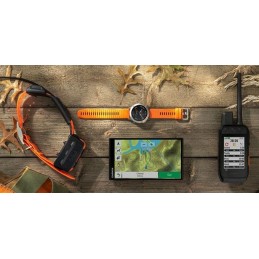 PROMO ROTTAMAZIONE KIT GARMIN Palmare Alpha 300 K + Collare