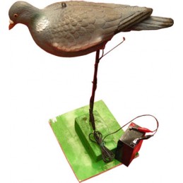 Colombaccio beccante motorizzato
