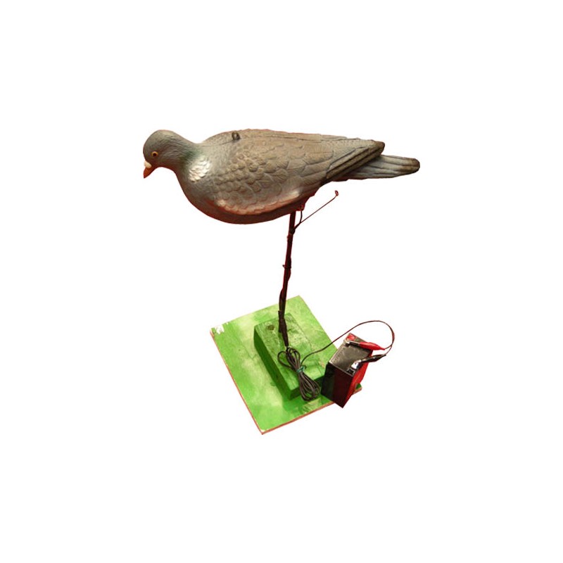 Colombaccio beccante motorizzato