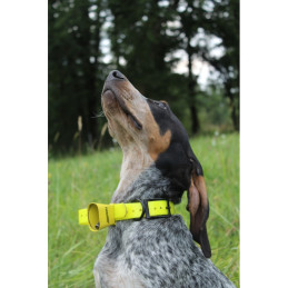 Campanaccio CaniHunt fluo Viper