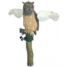 Gufo con ali rotanti