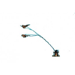 Kit allodola ali battenti con valigetta