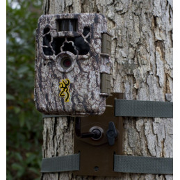 Supporto da Alberi BTCTM Browning